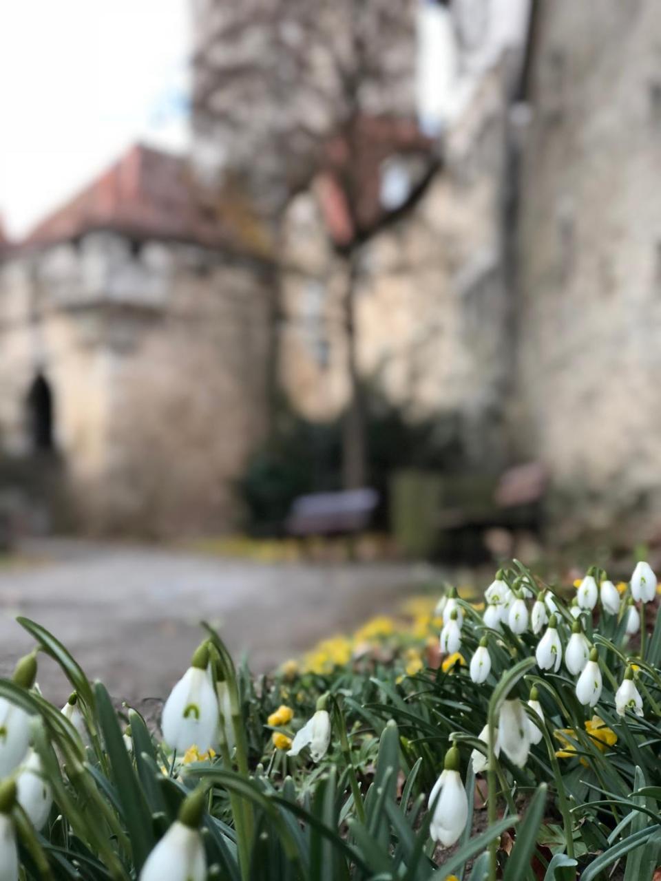 Gastehaus Eberlein Hotel Rothenburg ob der Tauber Exterior foto